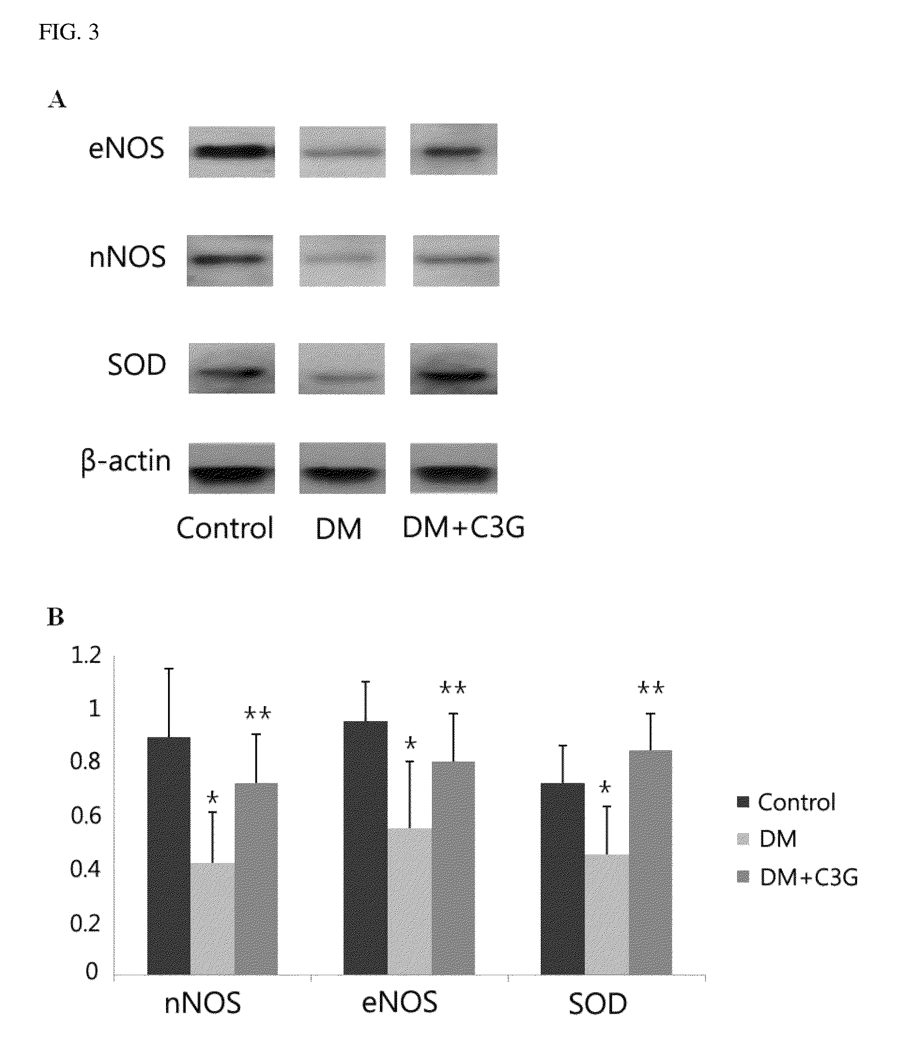 Pharmaceutical composition for preventing or treating diabetic erectile dysfunction comprising C3G or extract of mulberry containing C3G
