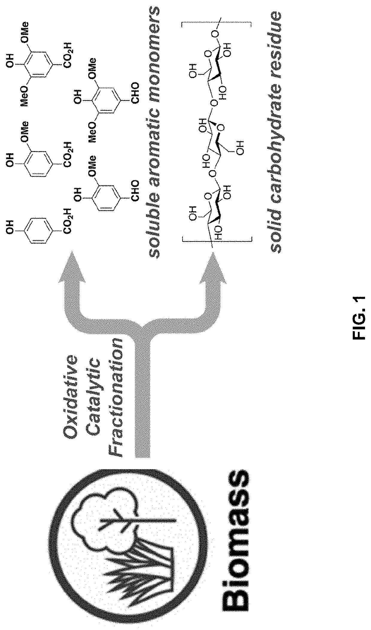 Methods of depolymerizing lignin