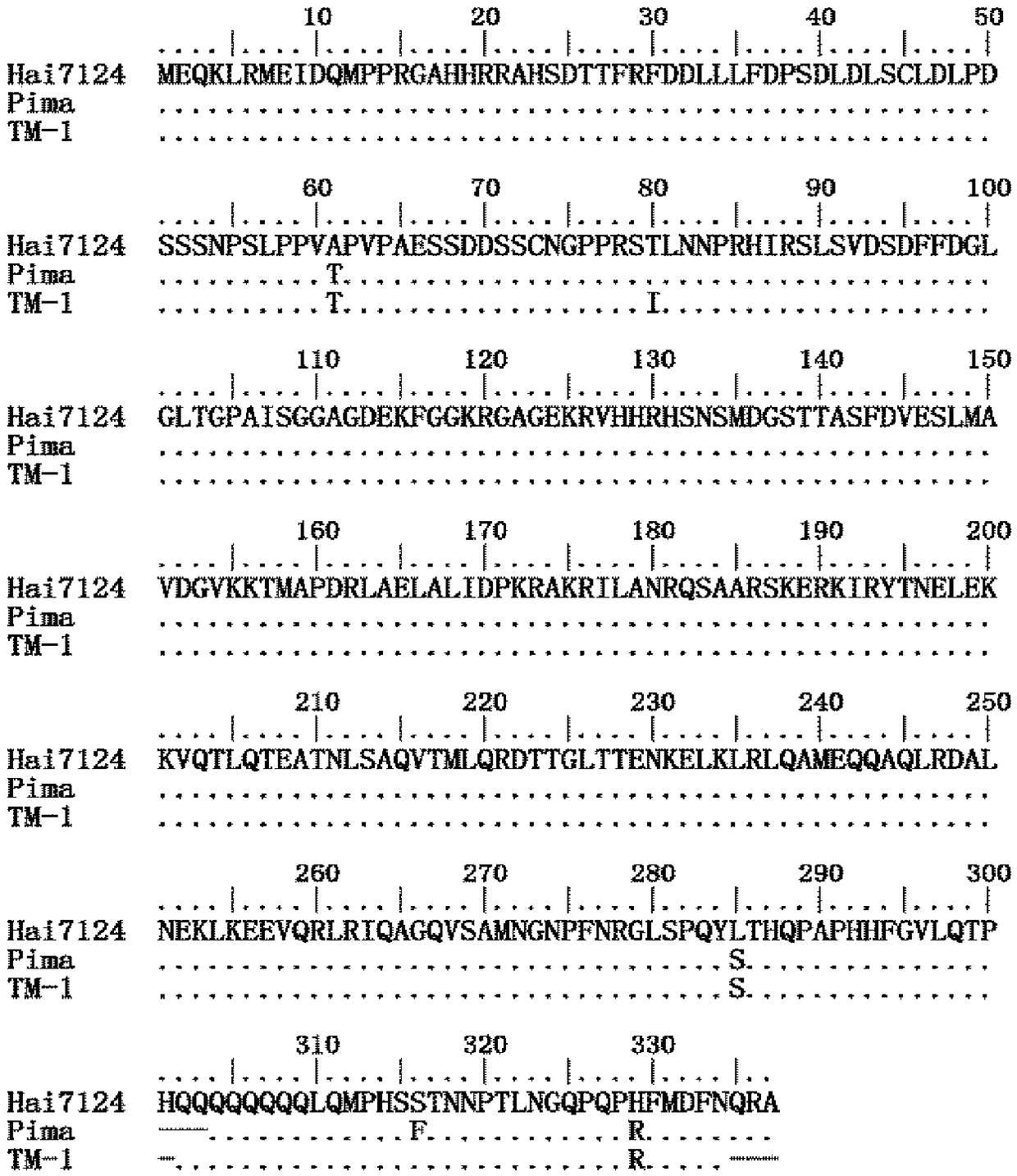 Verticillium wilt resistant associated protein GbVIP1, coding gene and application thereof