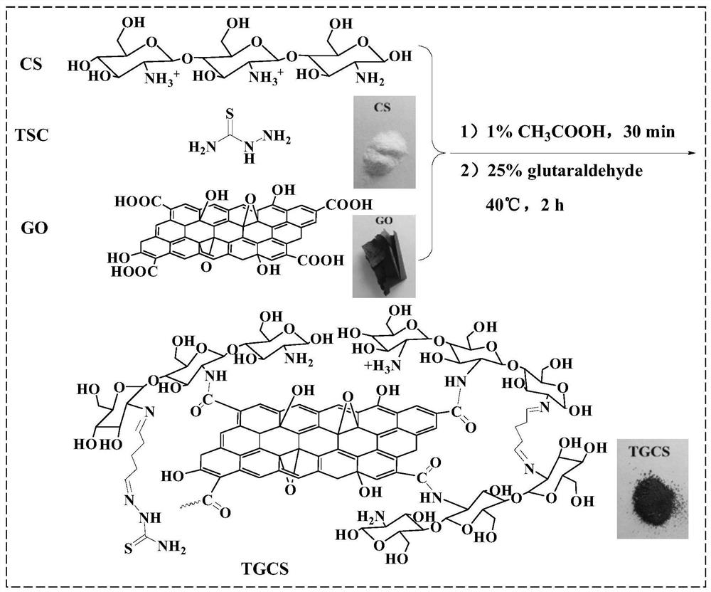 Thiosemicarbazide functionalized graphene oxide/chitosan composite adsorbent as well as preparation method and application thereof