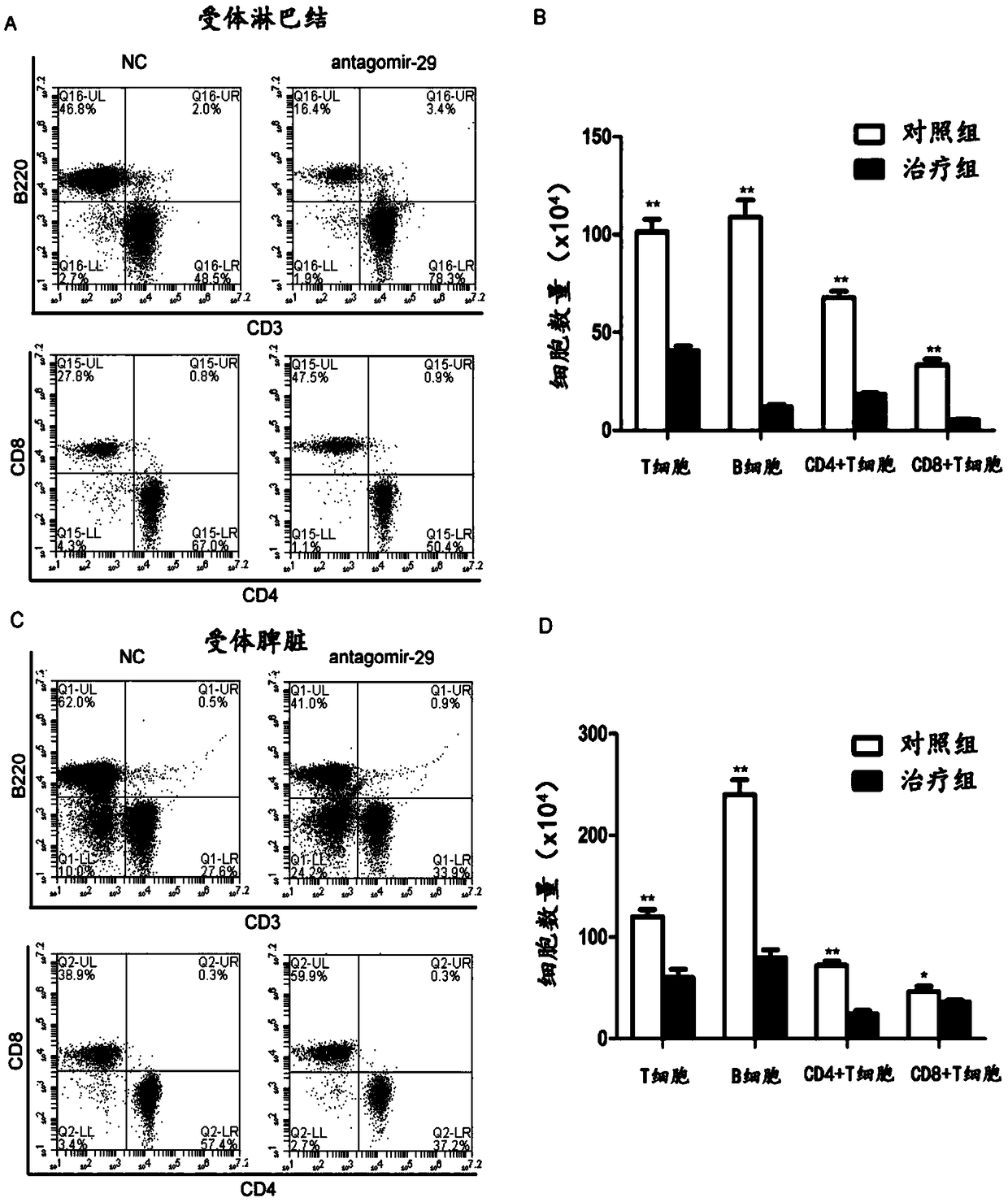Application of mir-29 and its inhibitors in the preparation of anti-organ transplantation rejection drugs