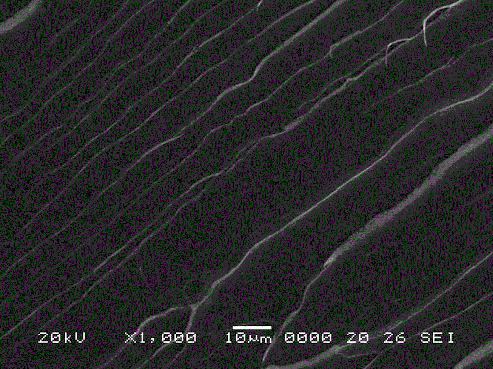 Method for preparing PMMA (polymethyl methacrylate)/CNTs (carbon nanotubes) composite materials