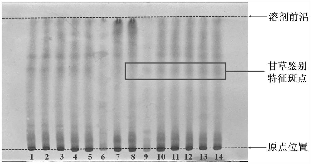 Thin-layer chromatography method for simultaneously identifying four single medicinal materials from Lonicera and Forsythia powder