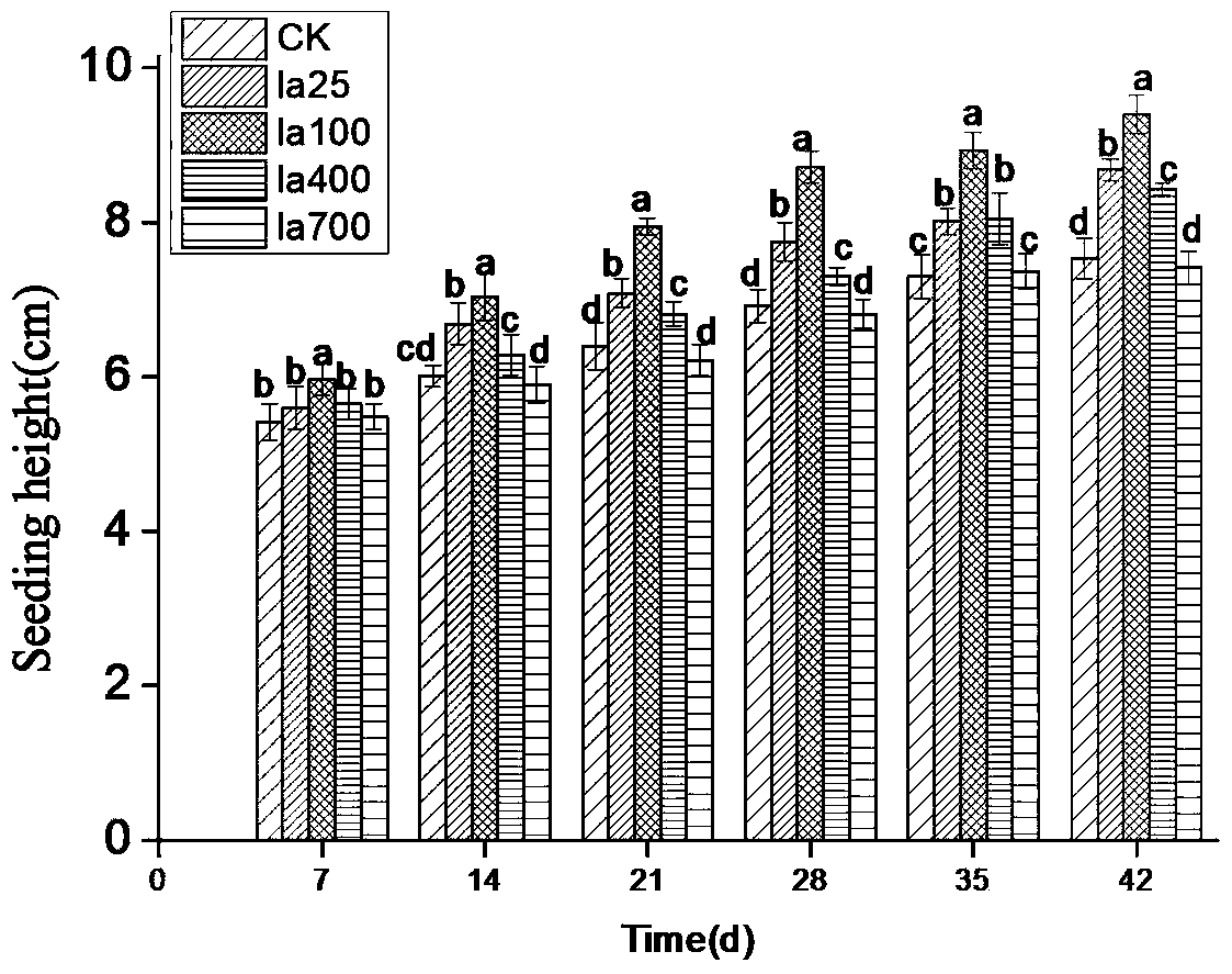 A kind of medicament for promoting the growth of heterophylla pseudostellariae and root growth and its spraying method