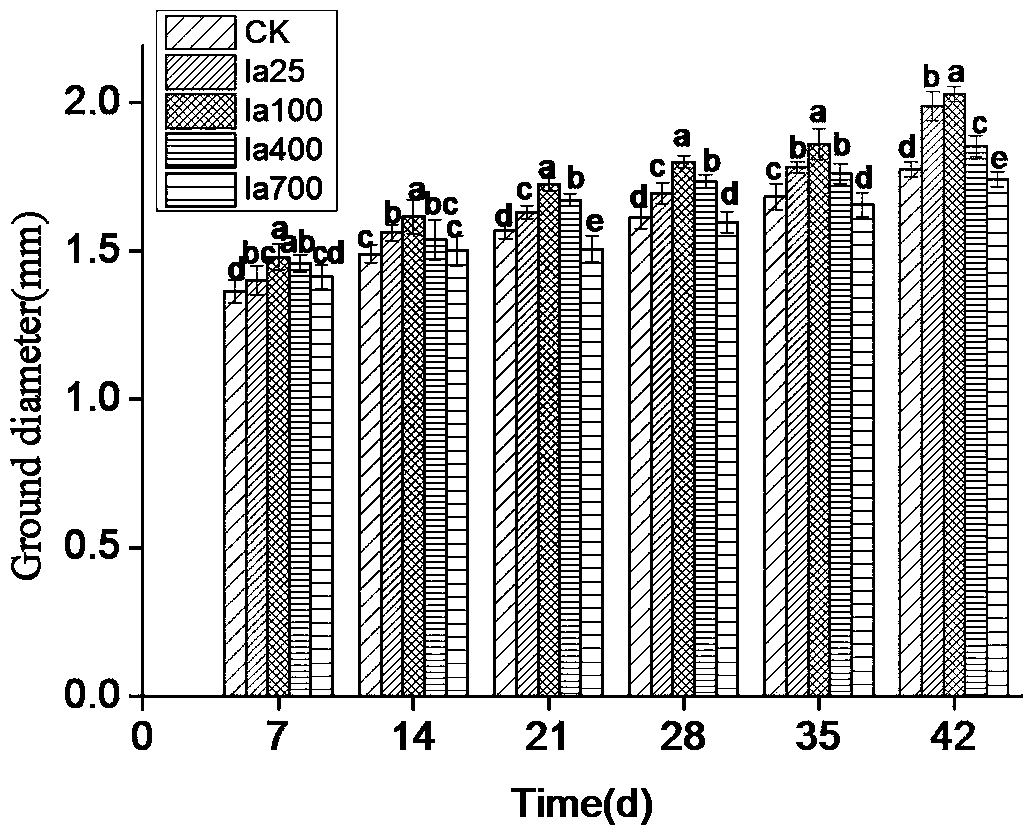 A kind of medicament for promoting the growth of heterophylla pseudostellariae and root growth and its spraying method