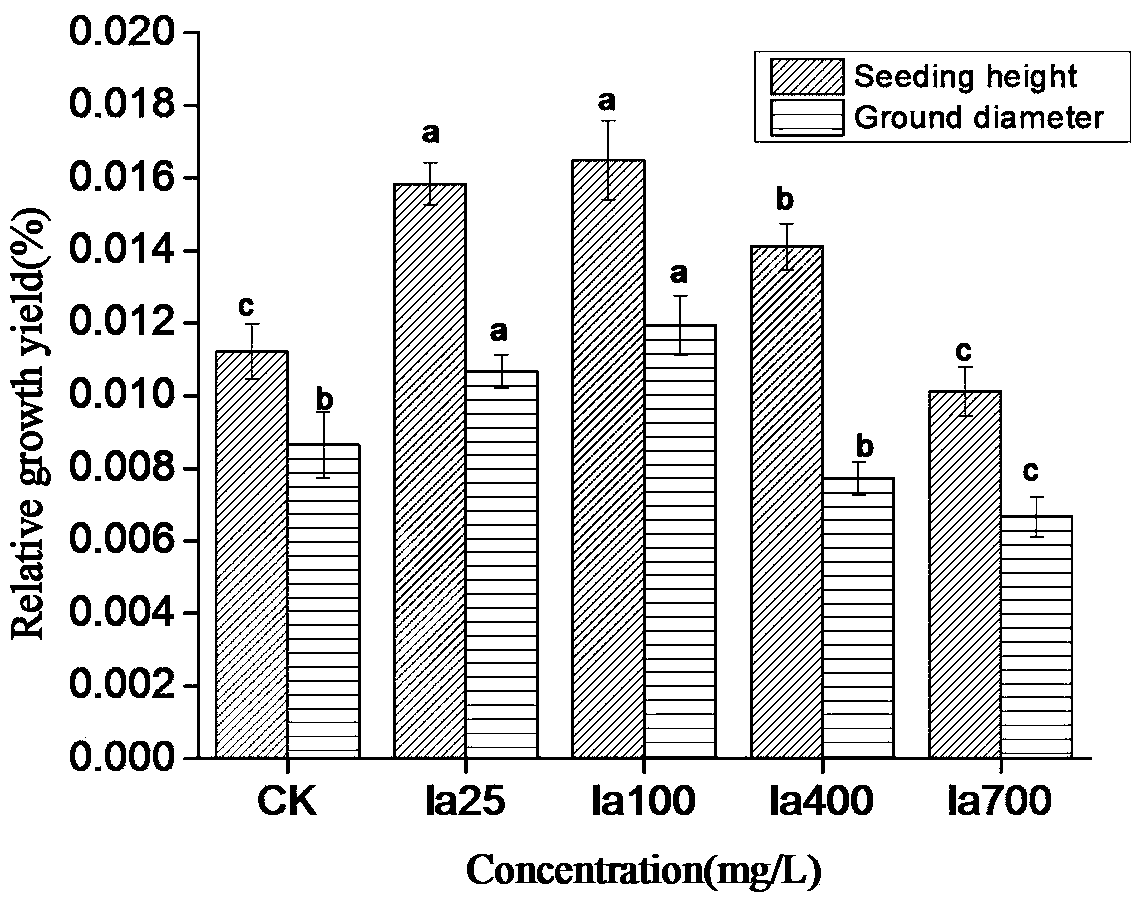 A kind of medicament for promoting the growth of heterophylla pseudostellariae and root growth and its spraying method