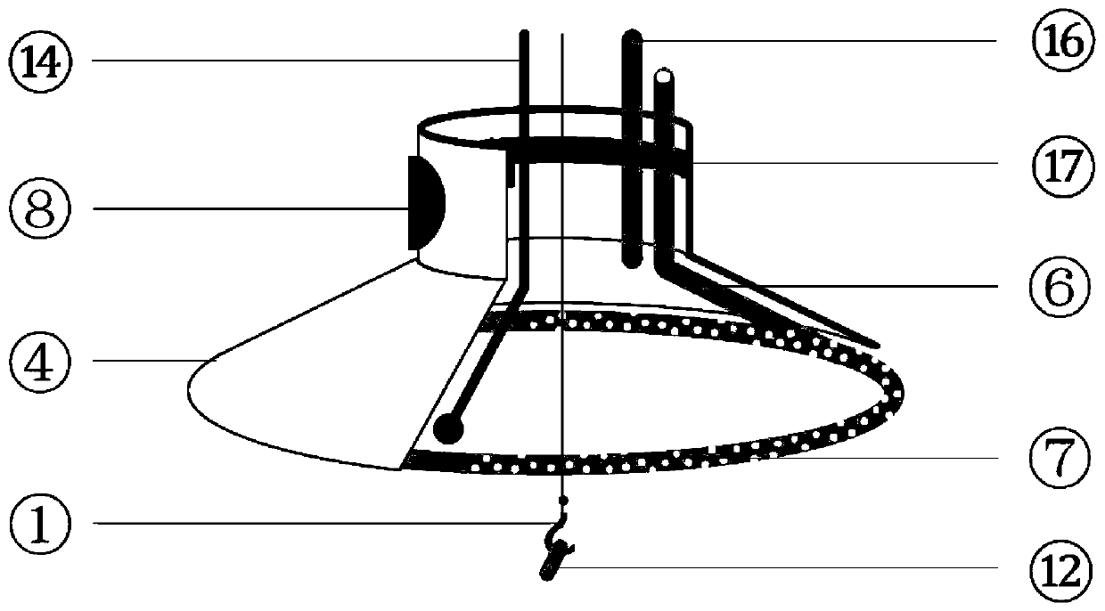 Zebrafish pain sense memory and addiction behavior experiment device and method