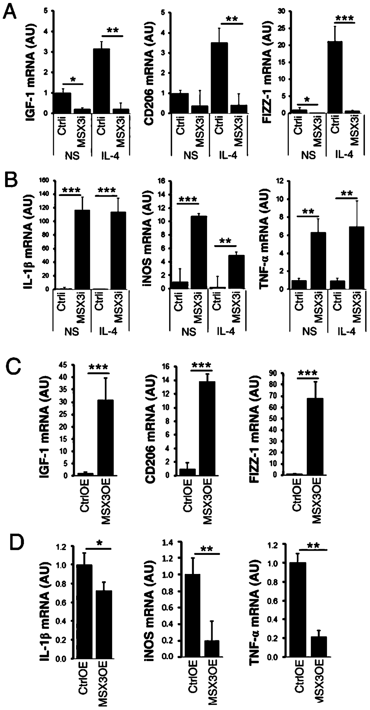 Msx3 gene-specific method for inducing selective polarization of microglial cells and its application