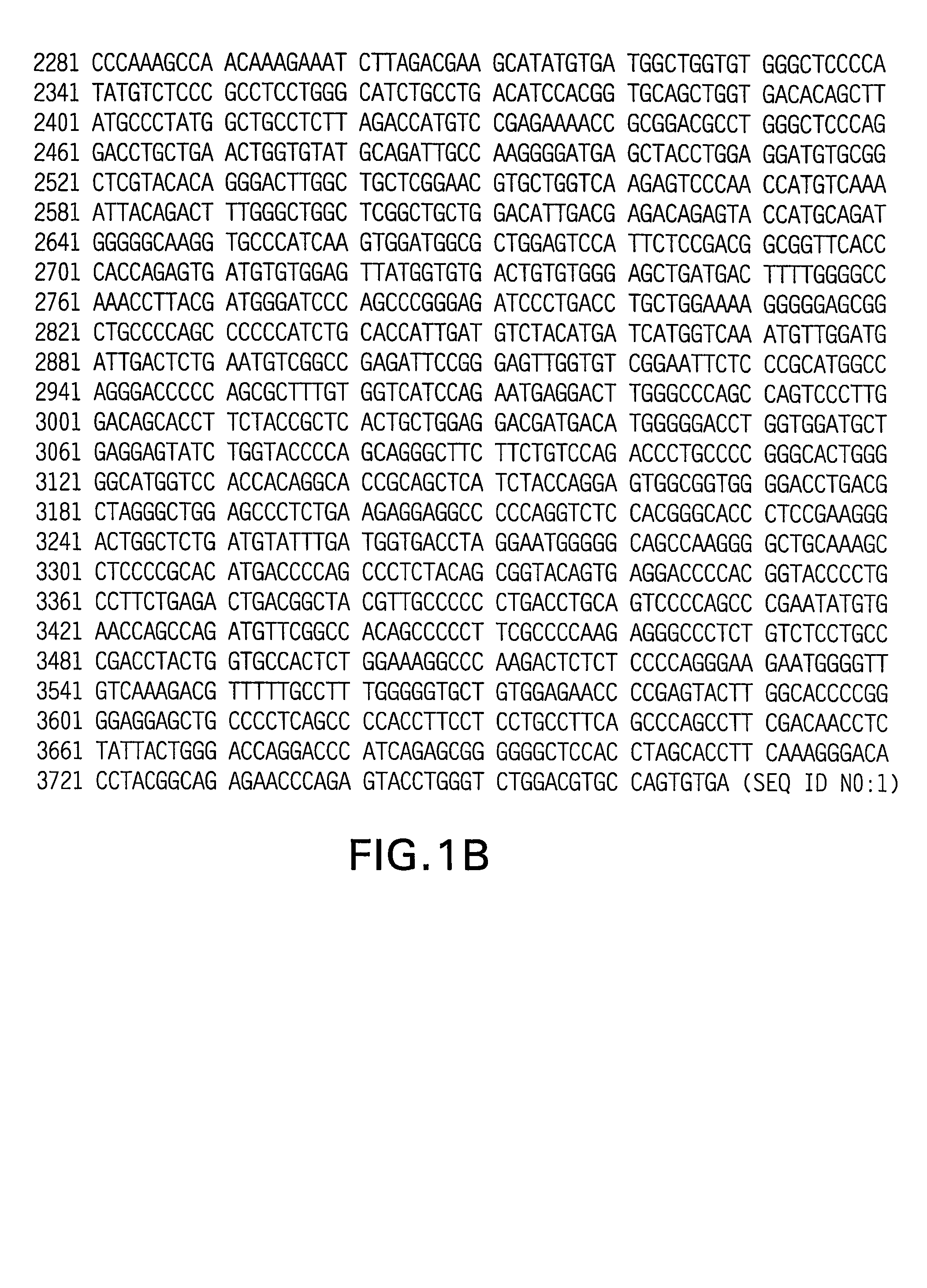 Rhesus HER2/neu, nucleotides encoding same, and uses thereof