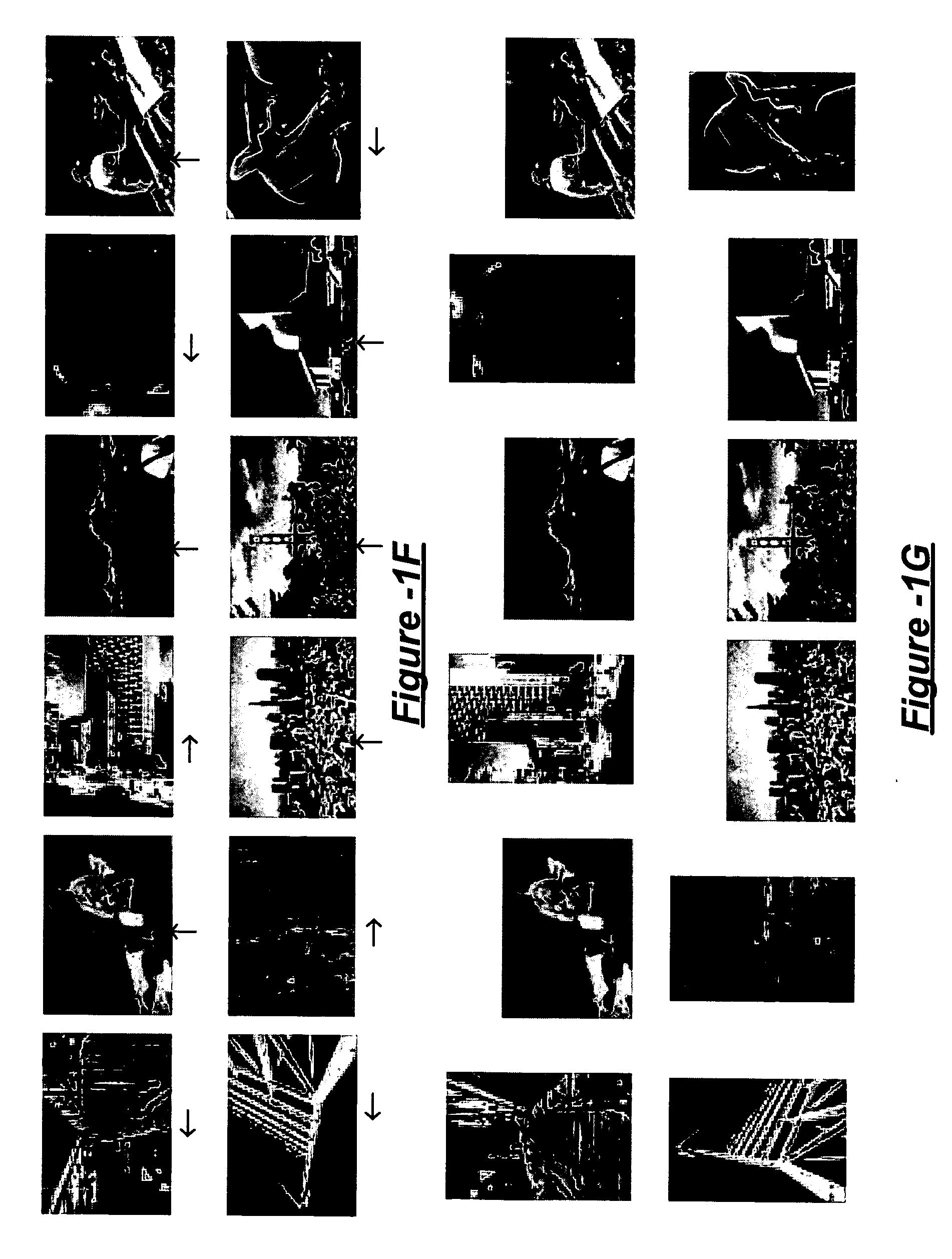 Method and apparatus for automatic image orientation normalization