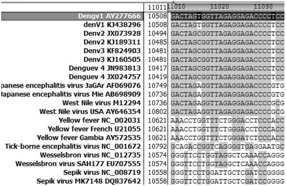 Reverse transcription pcr detection and typing kit for dengue virus and its detection method