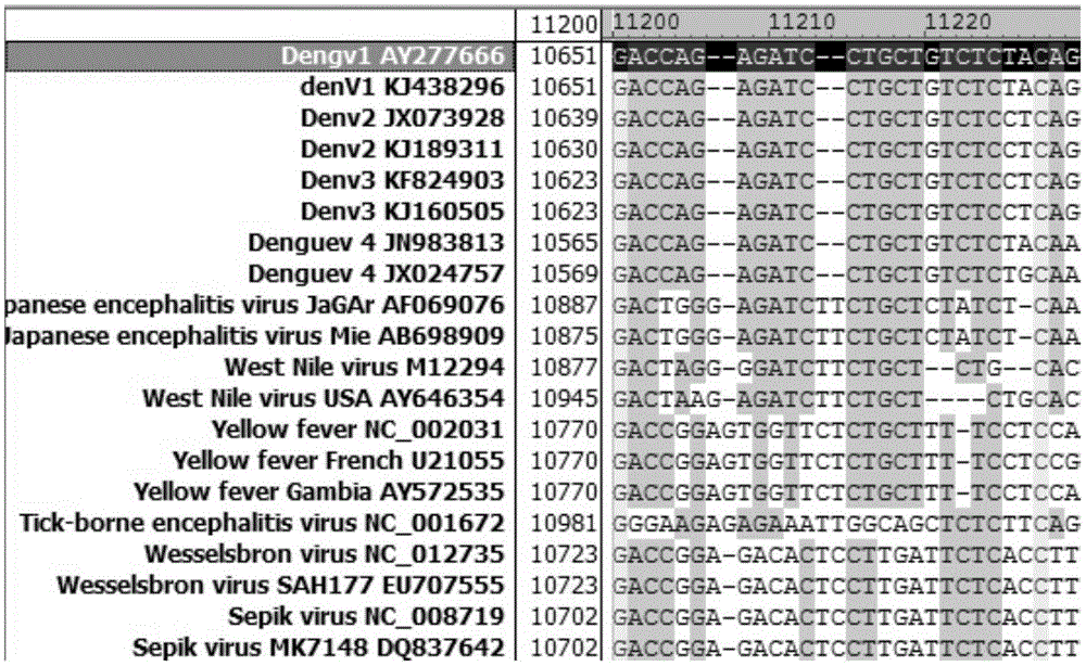 Reverse transcription pcr detection and typing kit for dengue virus and its detection method