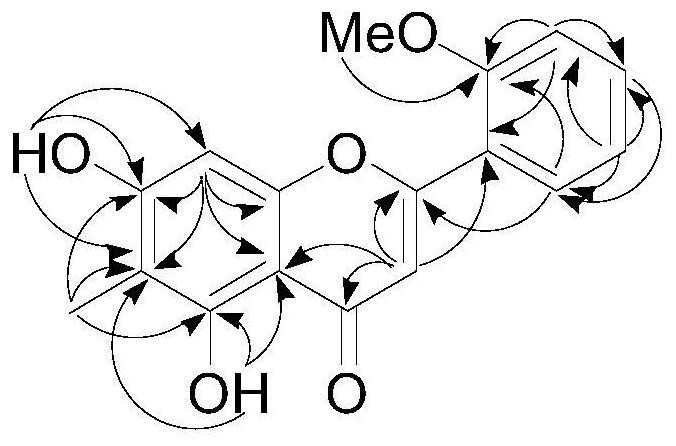 A flavonoid compound capable of improving cigarette smoking throat comfort and its preparation method and application