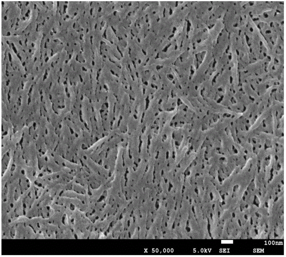 Method for rapidly preparing cellulose nanocrystalline