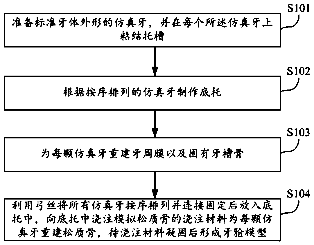 Tooth occlusion model manufacturing method, tooth occlusion model and orthodontic force measuring method