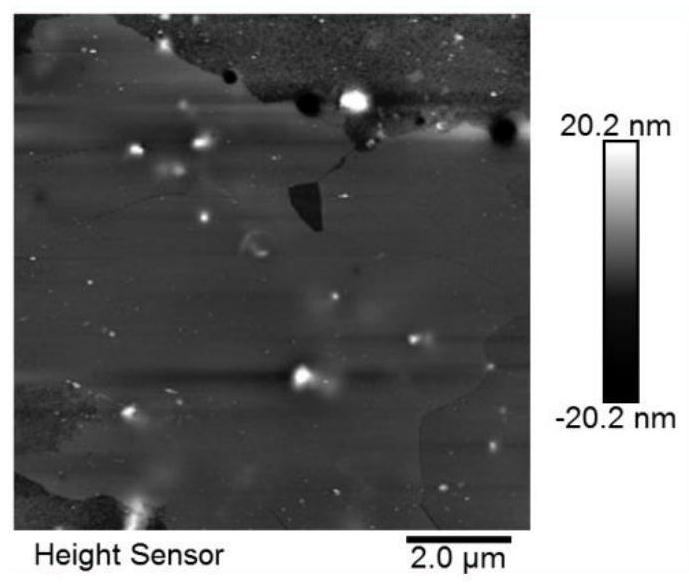 Novel electrochemical polishing device and method