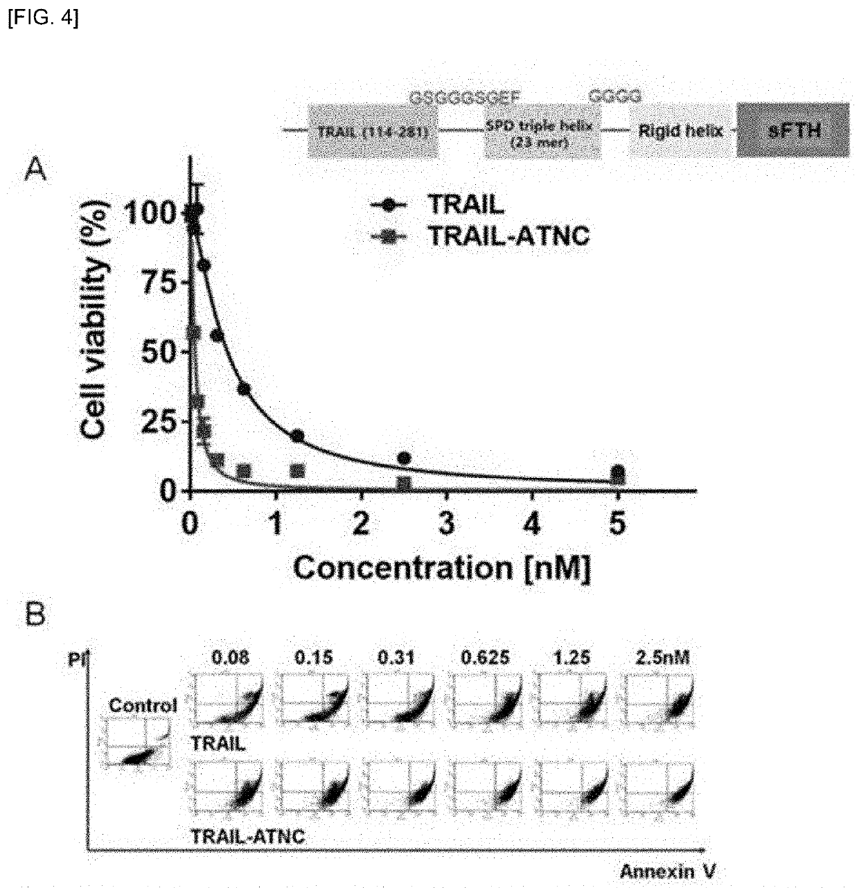 Ferritin nanocage for multi-displaying trail trimer and cancer-targeting peptide and use thereof as anticancer agent