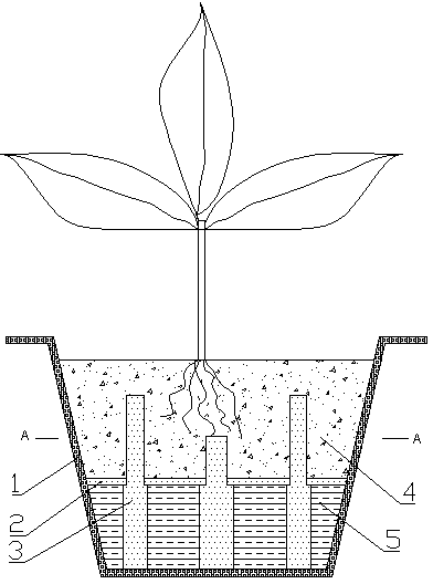 Device capable of feeding water automatically and potted plant container
