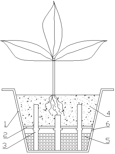 Device capable of feeding water automatically and potted plant container