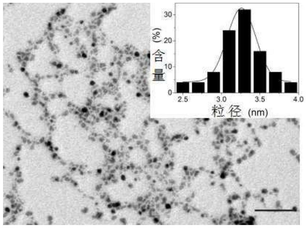 Preparation of composite fluorescent nanoprobe and its detection method for hydrogen peroxide