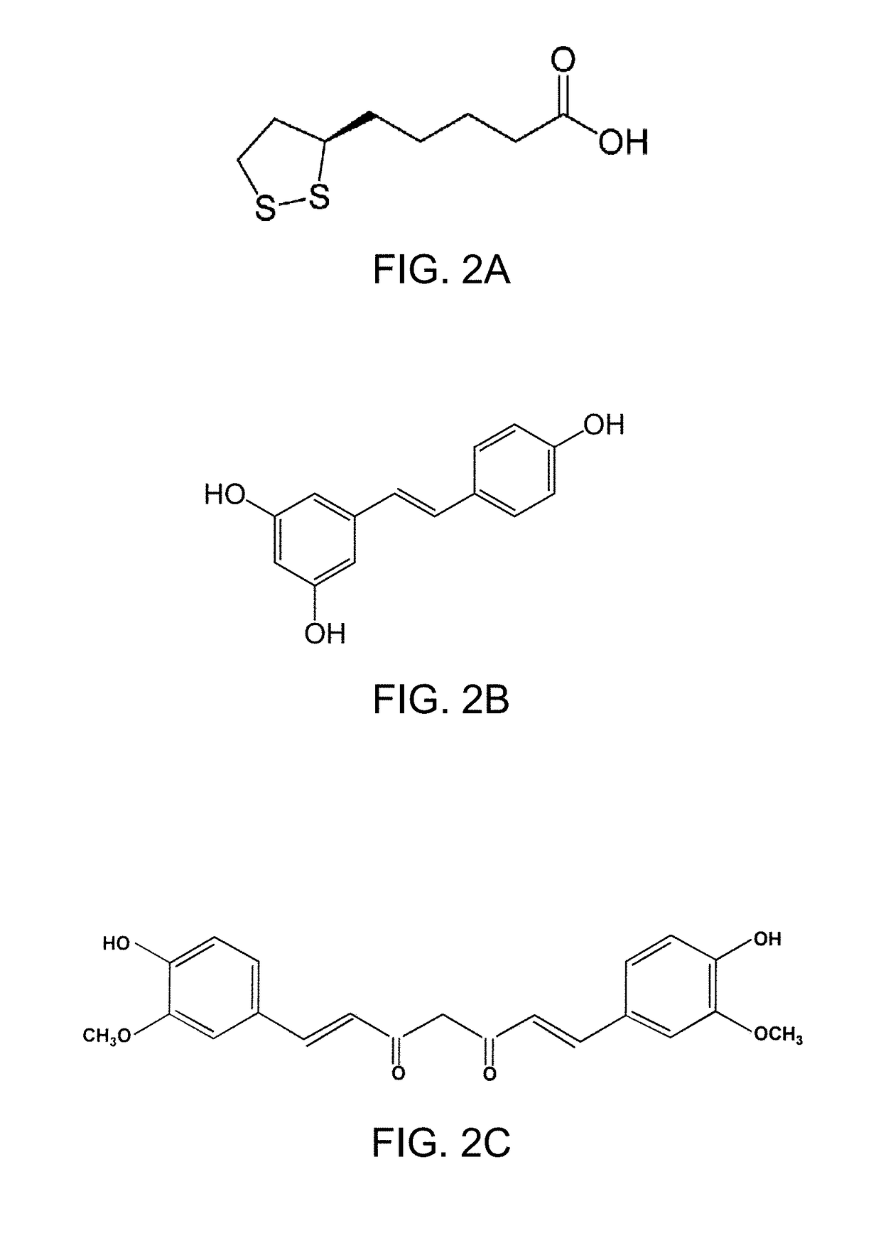Methods and compositions for reducing damage associated with oxidative phosphorylation
