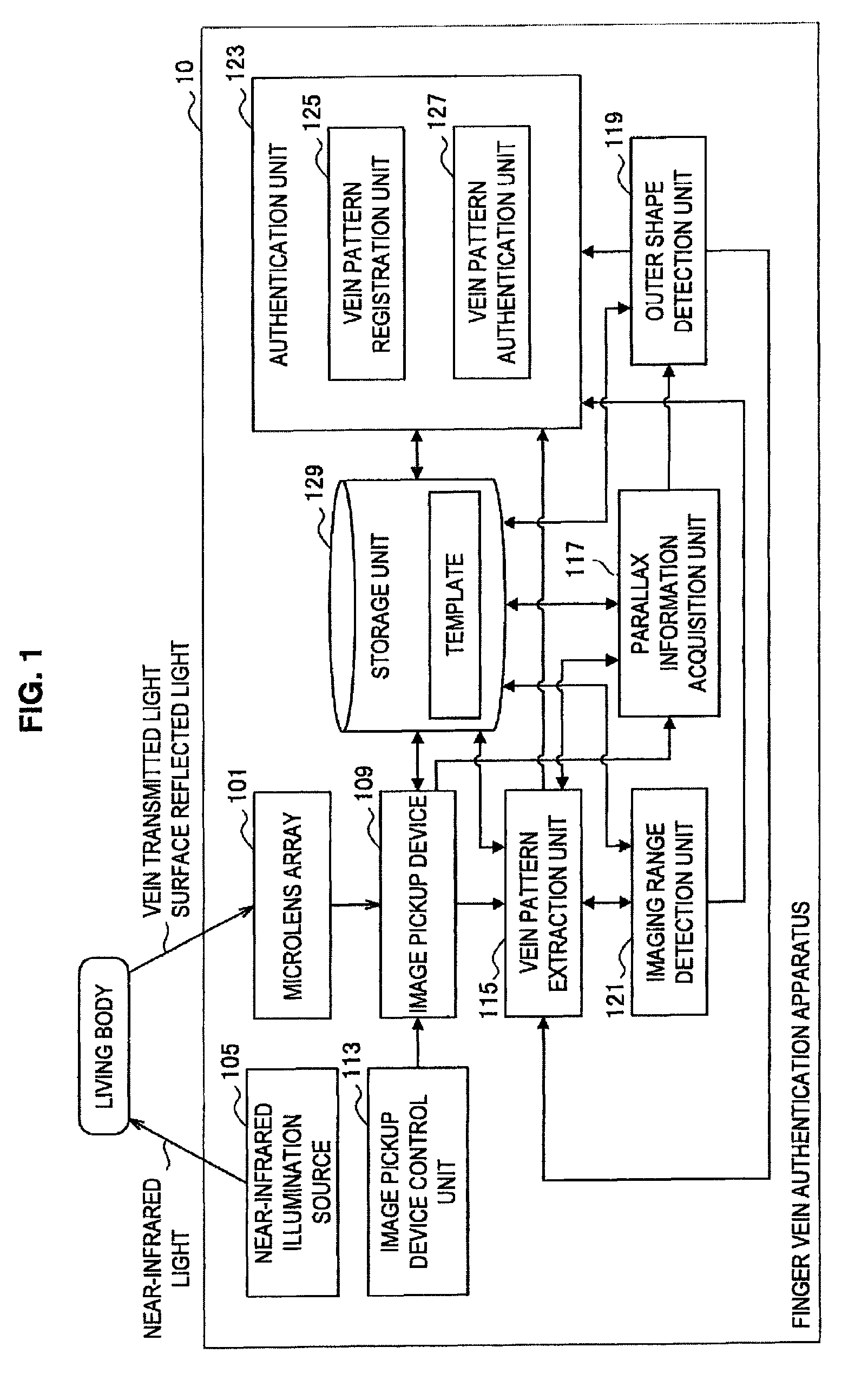 Finger vein authentication apparatus and finger vein authentication method