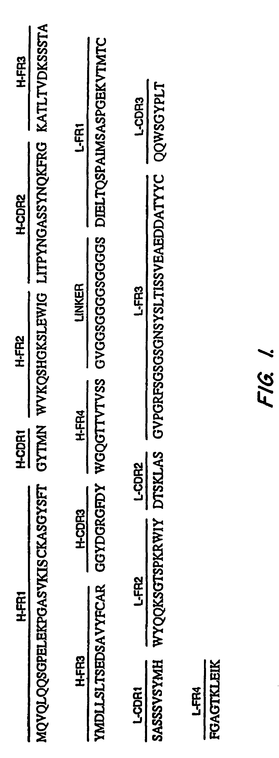Antibodies, including Fv molecules, and immunoconjugates having high binding affinity for mesothelin and methods for their use