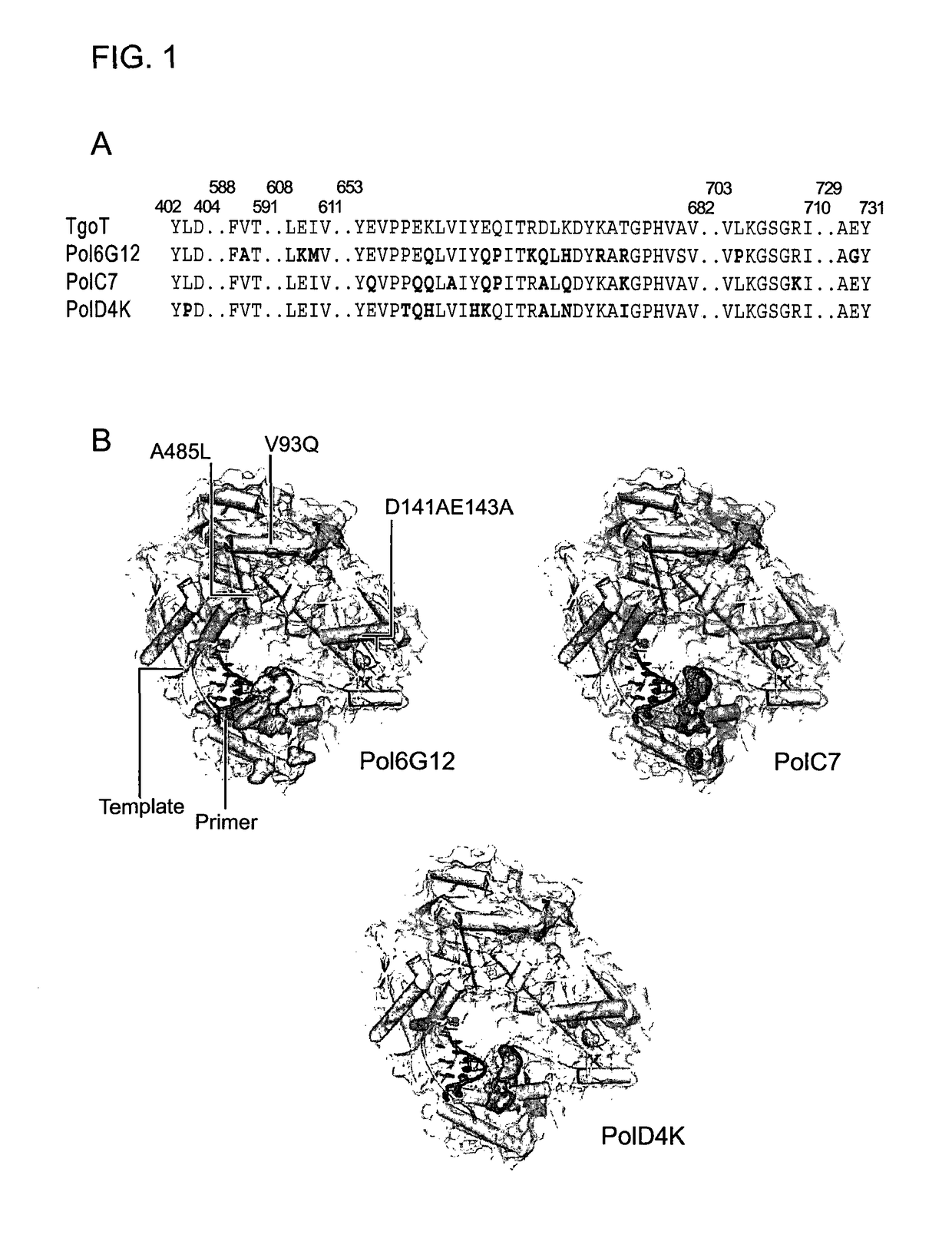 Polymerase capable of producing non-DNA nucleotide polymers