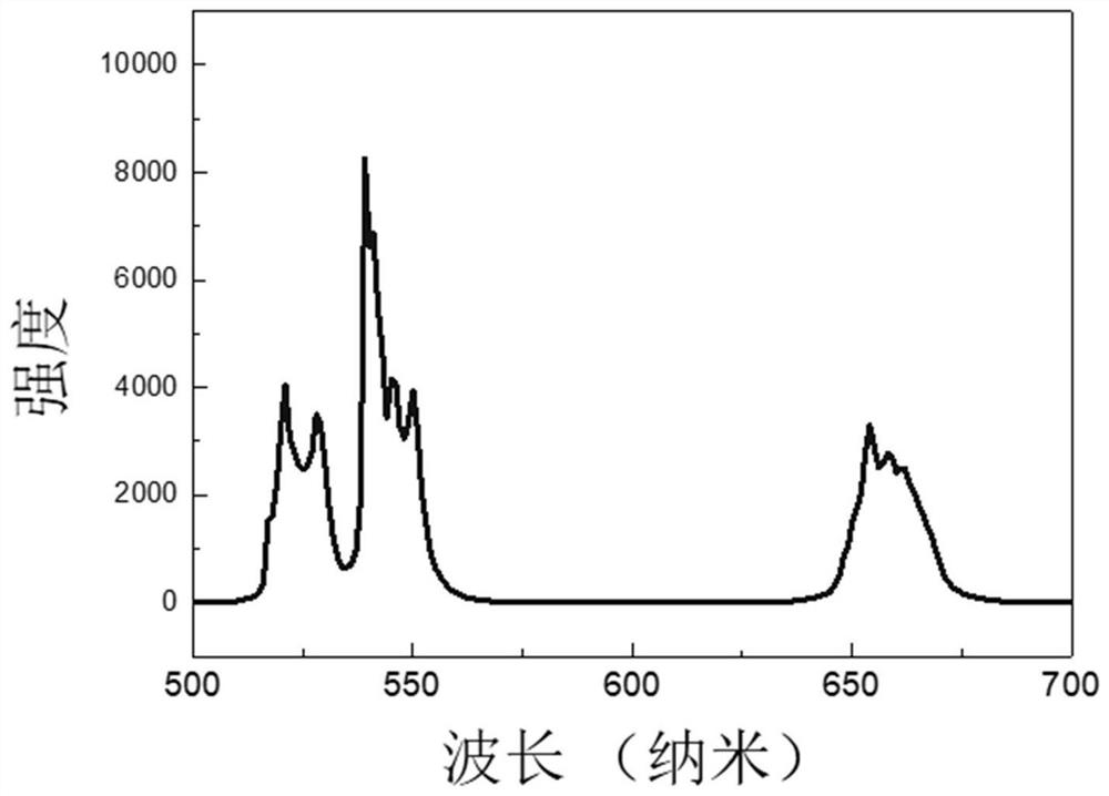 Fluorescence immunochromatography test strip for quantitative detection of zeranol as well as preparation method and application of fluorescence immunochromatography test strip