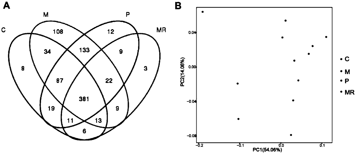 Anti-ulcerative colitis granule and preparation method