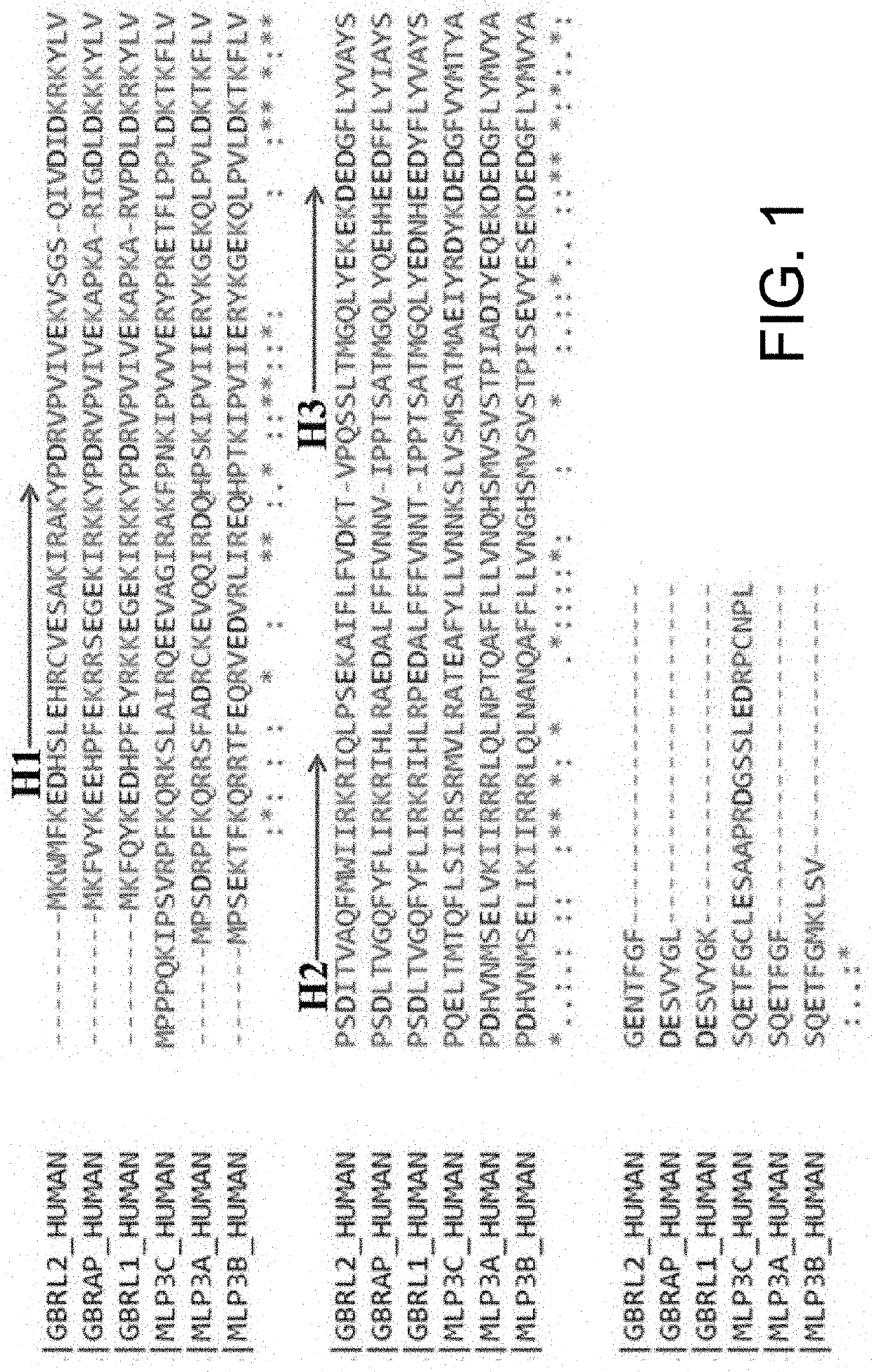 Isolated peptide, Anti-cancer medicinal composition including the same and method of specifically reducing or inhibiting activities of cancer cells using the same