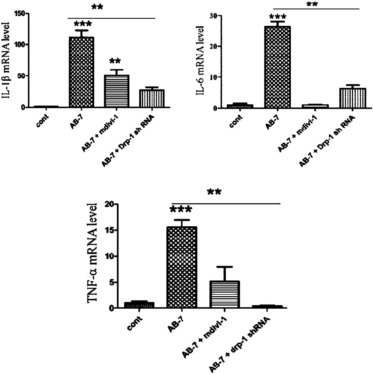 Application of Mdivi-1 in preparation of corneal alkali burn therapeutic drugs