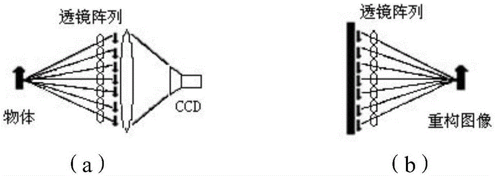 A Depth Map Acquisition Method for Integrated Imaging System