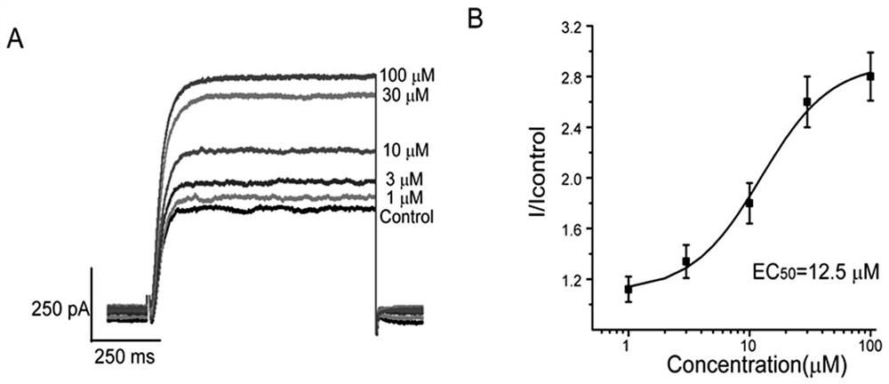 Application of biscoumarin in preparation of anti-epileptic and analgesic drugs