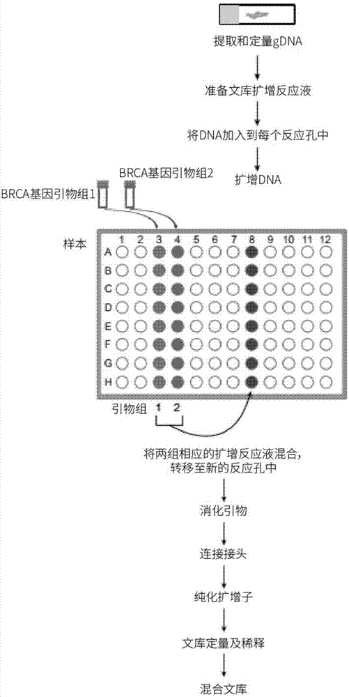 BRCA1/2 genovariation combined detection kit and application thereof