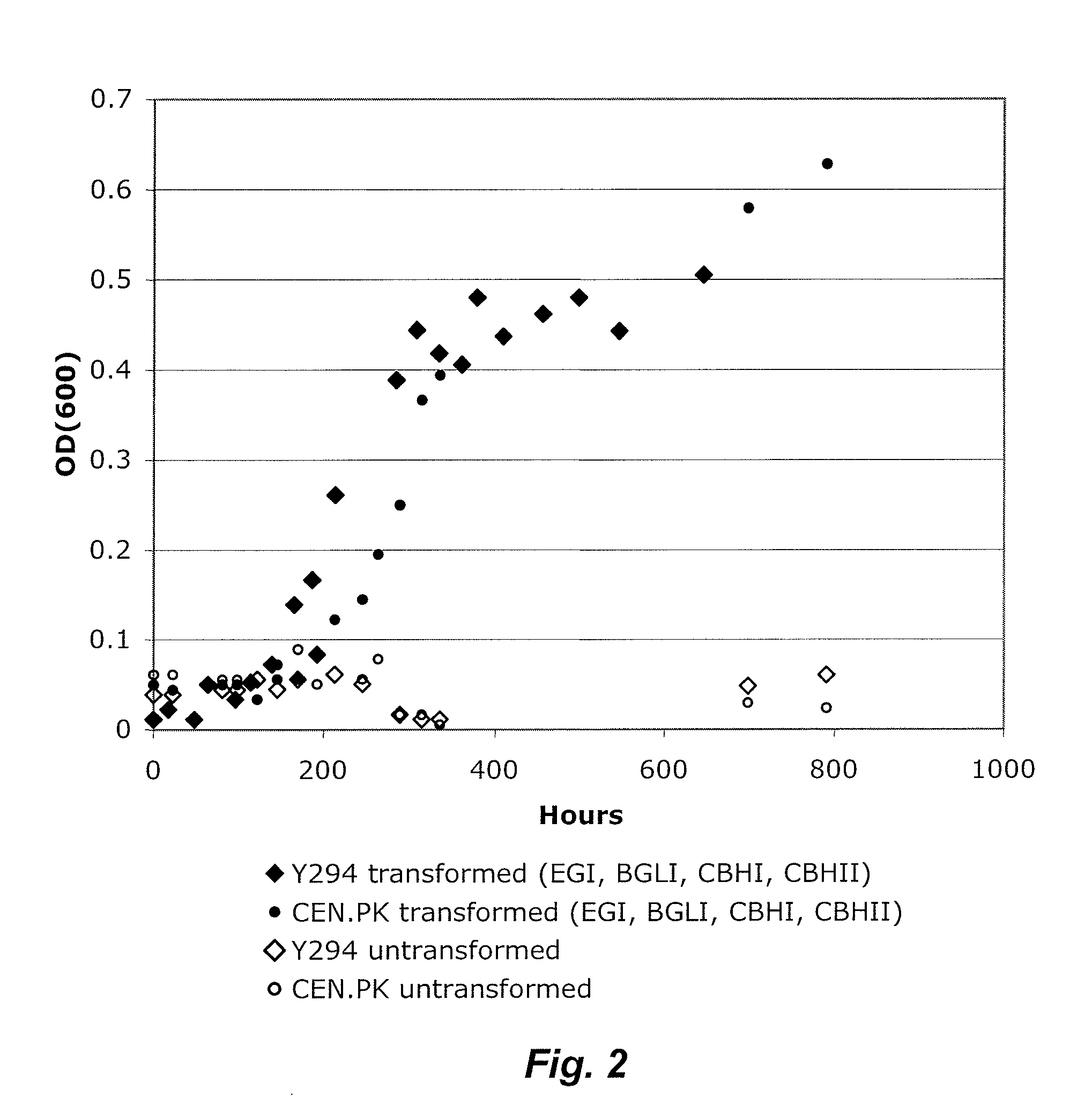 Recombinant Yeast Strains Expressing Tethered Cellulase Enzymes