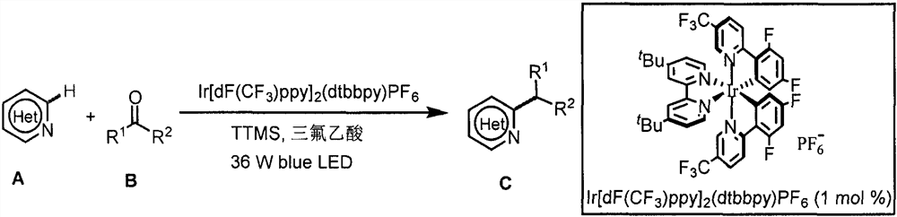 Application of light-promoted Minissci C-H alkylation reaction in preparation of alkyl-substituted azacycle