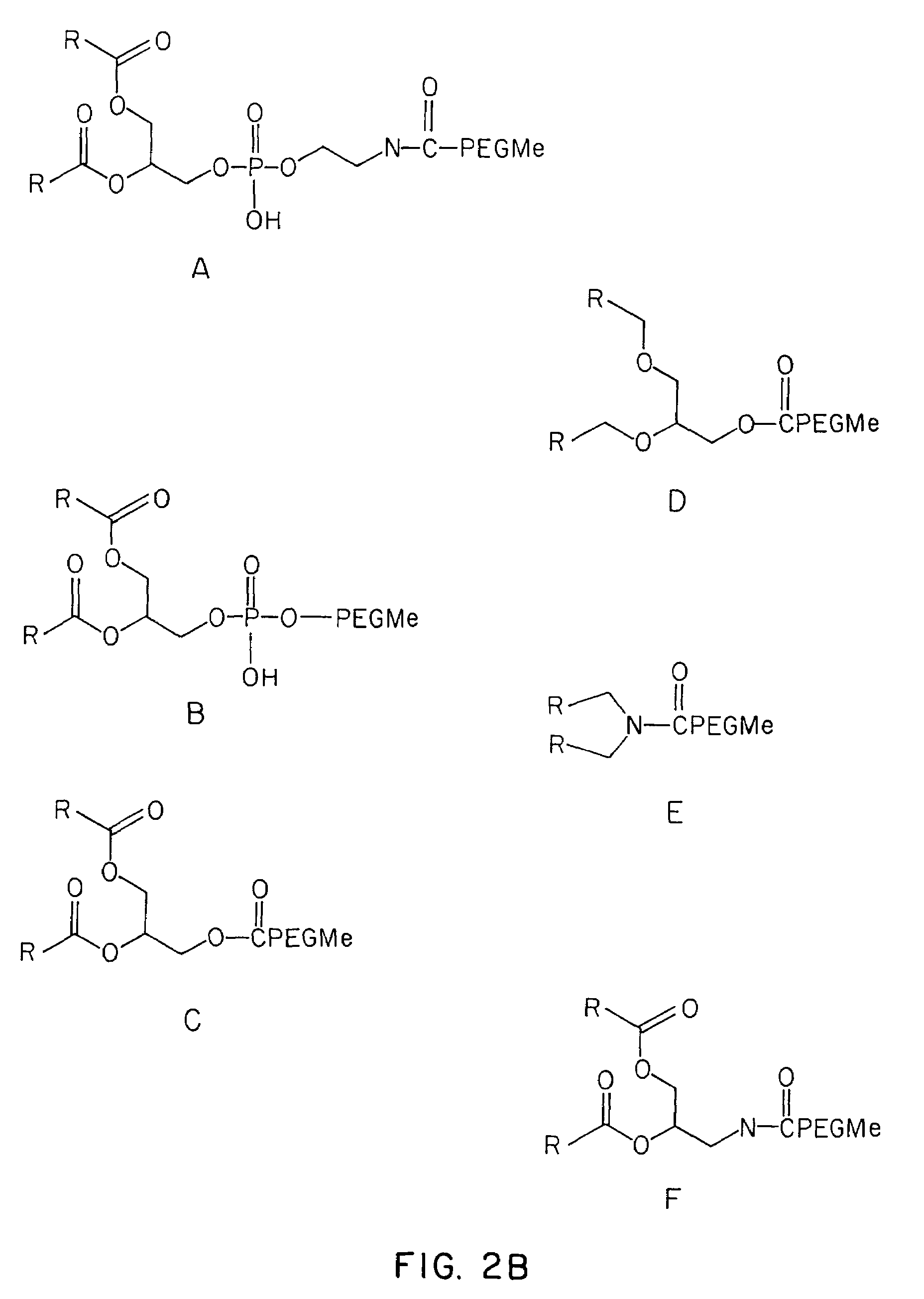 Lipid-encapsulated polyanionic nucleic acid