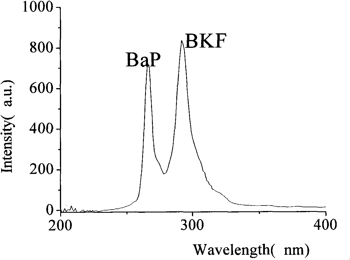 Method for simultaneously and quickly detecting benzo[a]pyrene (BaP) and benzo[k]fluoranthene (BKP)