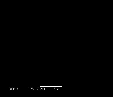 Method for preparing titanium dioxide film with bulges on surface