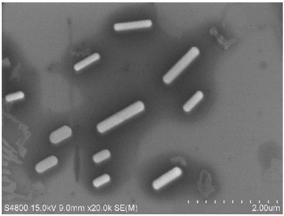 Method for preparing perovskite quantum dot nanorod from methylamine lead bromide perovskite quantum dots