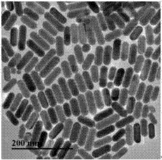 Detection method for preparing spiny platinum-coated gold nanorod chiral dimer for DNA damage