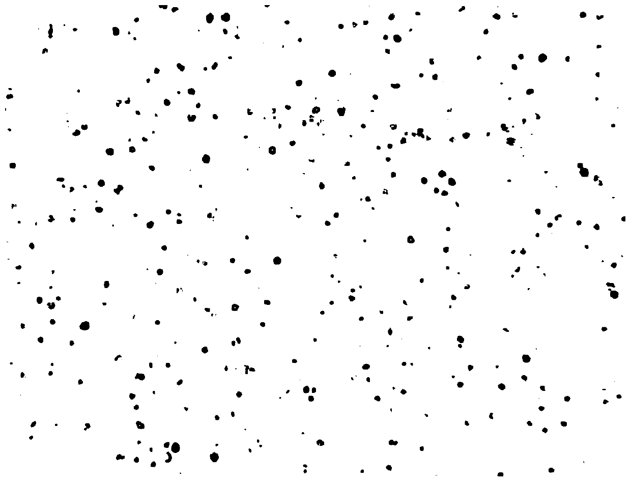 Kit for quantitatively detecting trichomonas vaginalis by chemiluminiscence method and detecting method thereof