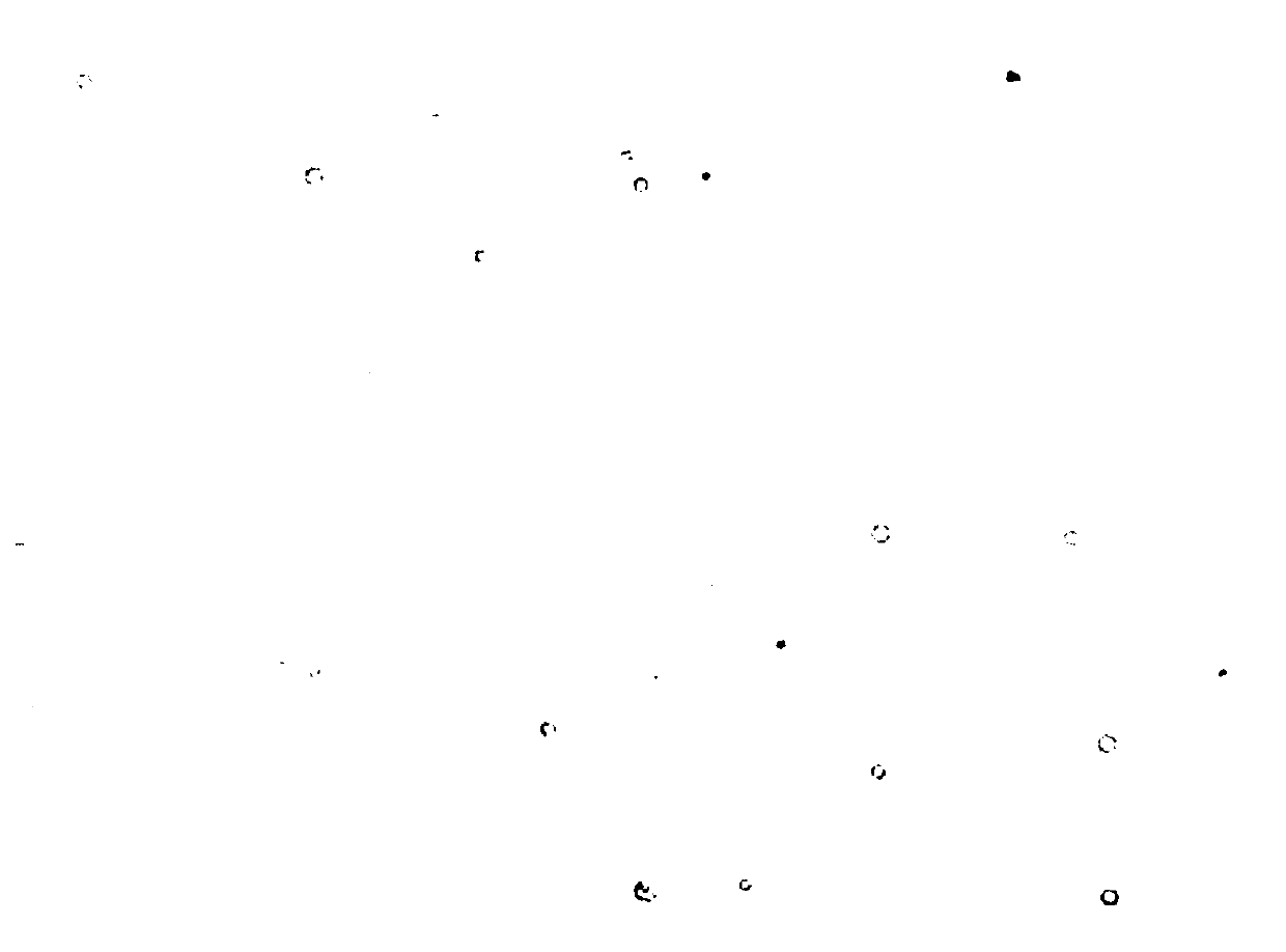 Kit for quantitatively detecting trichomonas vaginalis by chemiluminiscence method and detecting method thereof