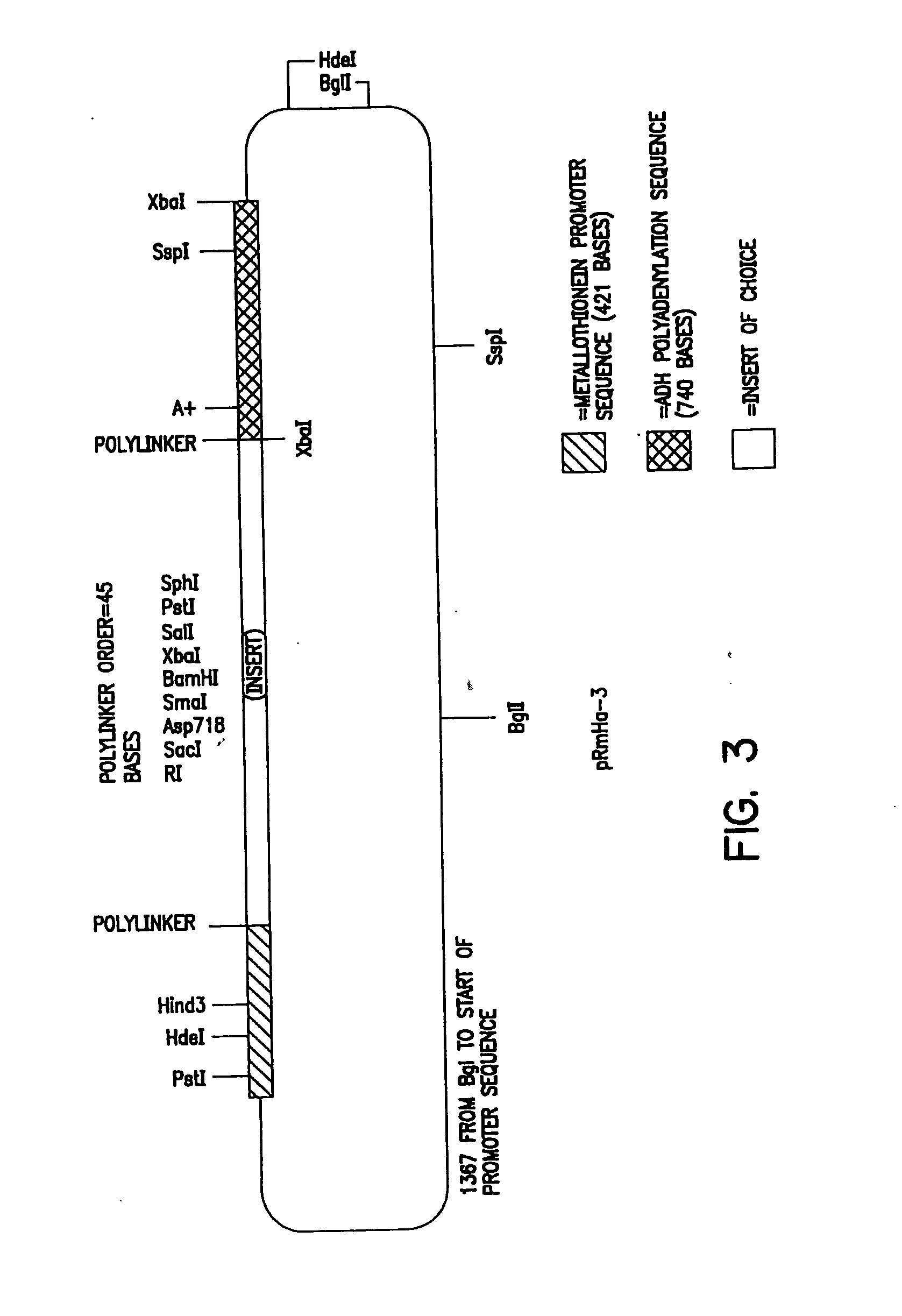 Antigen presenting system and methods for activation of T-cells