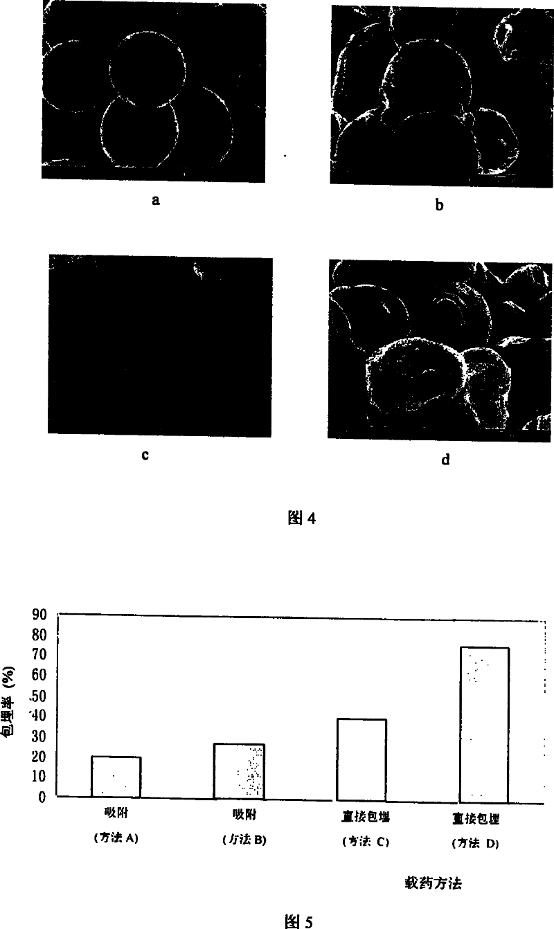 Chitosan drug carrying microsphere with uniform size, high embedding rate and high drug activity maintaining rate and its preparation process