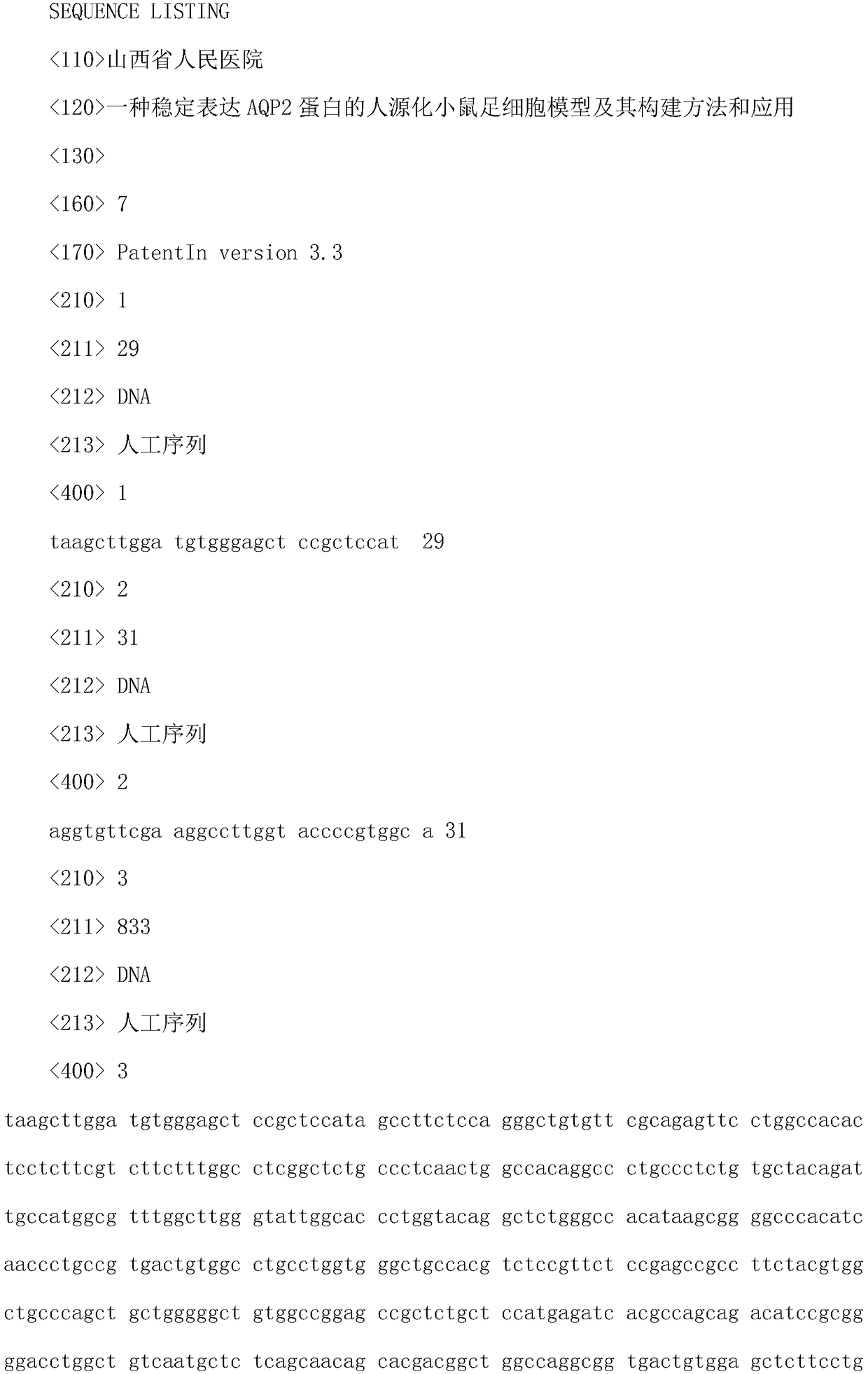 Humanized mouse podocyte model stably expressing AQP2 protein, and construction method and application thereof