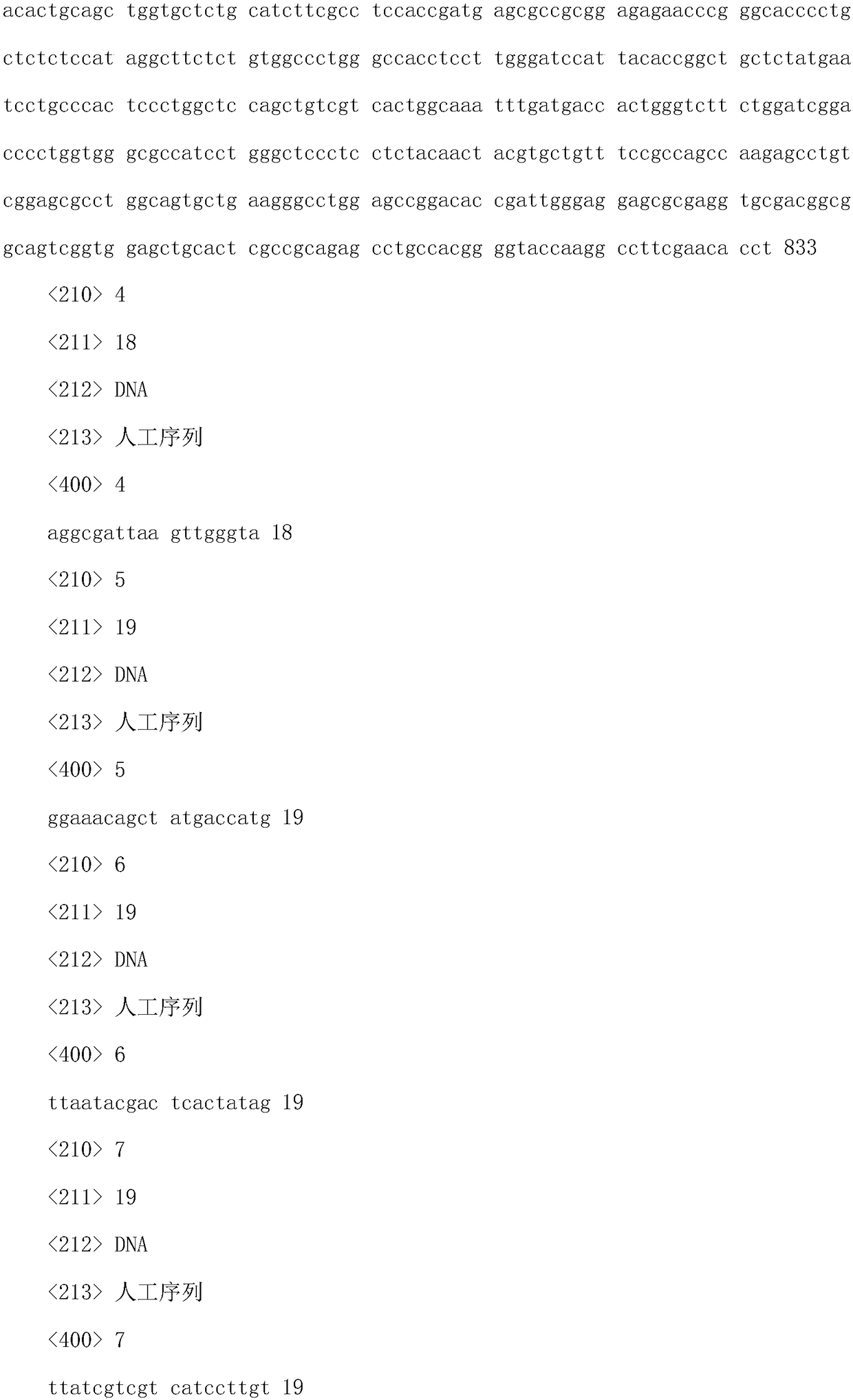 Humanized mouse podocyte model stably expressing AQP2 protein, and construction method and application thereof