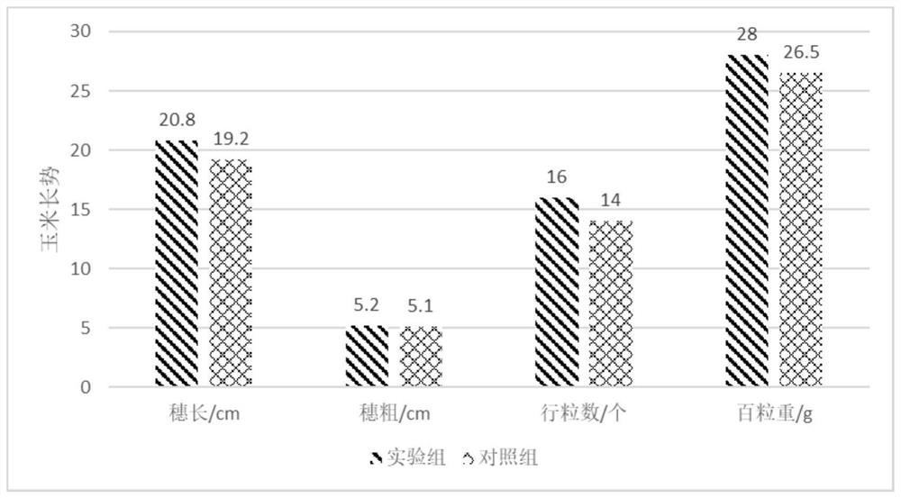 Crop straw biochar composite microbial organic fertilizer, preparation method and application thereof