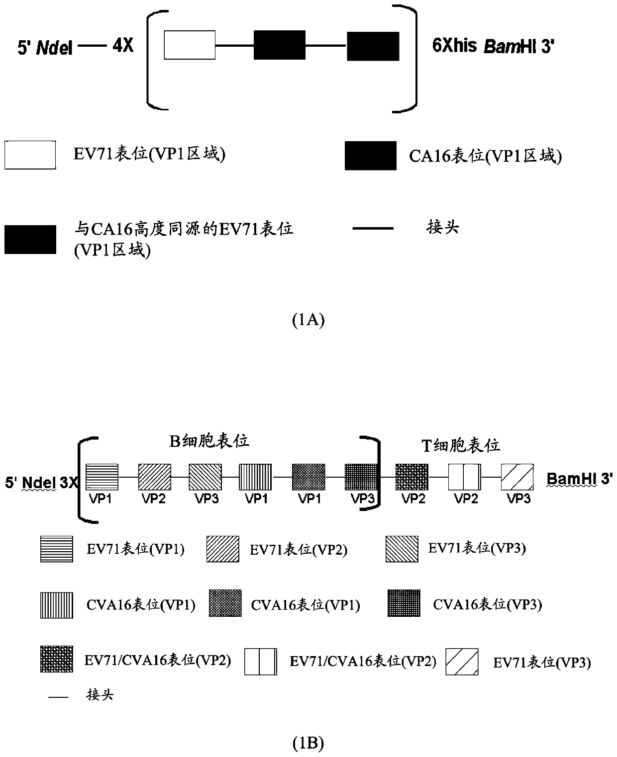 A synthetic polypeptide epitope based vaccine composition